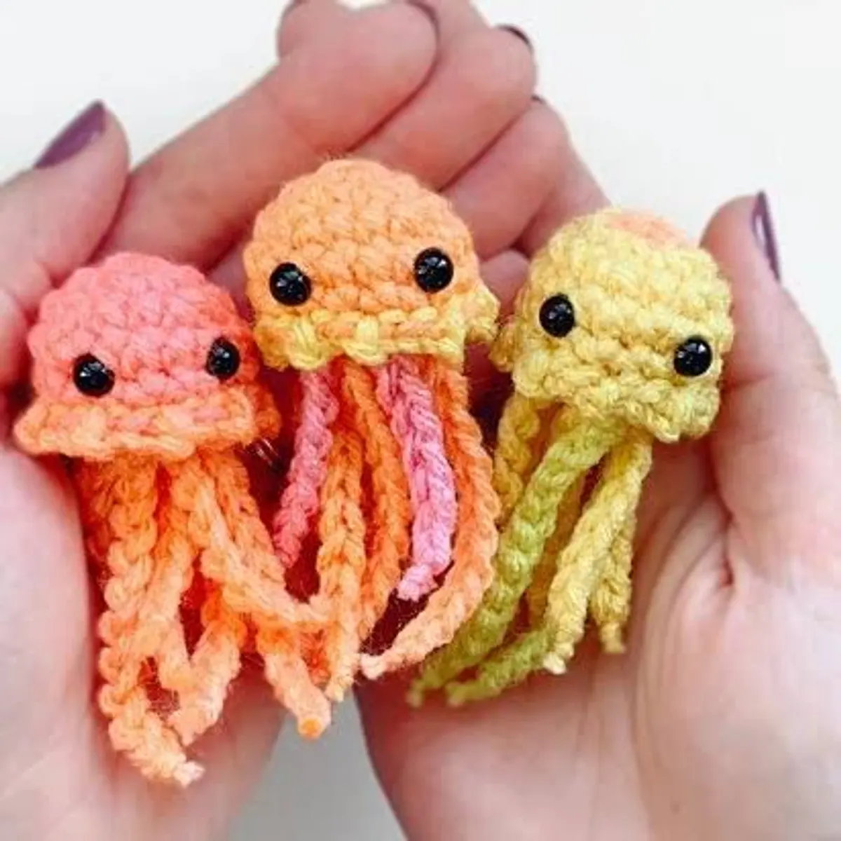 Soft tide jellyfish trio